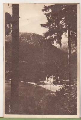 bnk cp Tusnad - Vedere spre strand - circulata 1952 foto
