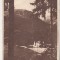 bnk cp Tusnad - Vedere spre strand - circulata 1952