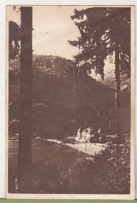 bnk cp Tusnad - Vedere spre strand - circulata 1952