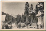 bnk cp Borsec - Spre izvoare - uzata 1954