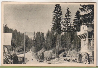 bnk cp Borsec - Spre izvoare - uzata 1954 foto