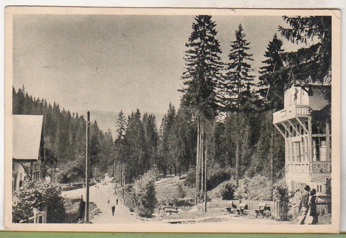 bnk cp Borsec - Spre izvoare - uzata 1954