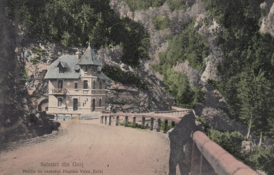 SALUTARI DIN GORJ , POSITIA CU CANTONUL PLASTINA VALEA JIULUI foto