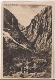Bnk cp Cheile Turzii - Vedere - uzata 1955, Circulata, Printata