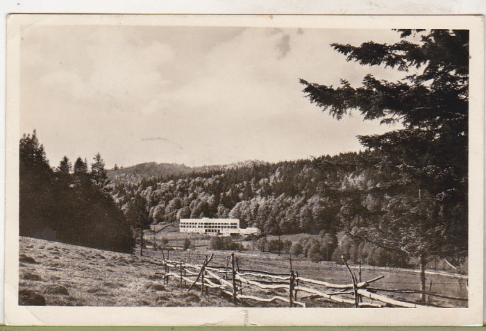 bnk cp Valea Rasnoavei - Sanatoriul - circulata 1954