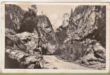 Bnk cp Drumul in Cheile Bicazului - Vedere - uzata 1954, Circulata, Printata