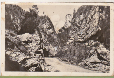 bnk cp Drumul in Cheile Bicazului - Vedere - uzata 1954 foto