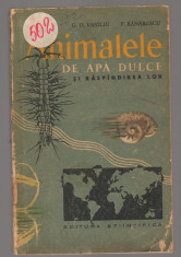 (C6876) G.D. VASILIU - ANIMALELE DE APA DULCE SI RASPANDIREA LOR (ANIMALE) foto