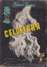 Robert Bauer - Celofibra - 658179 foto