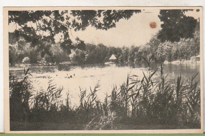 bnk cp Sovata - Lacul Ursu - necirculata foto