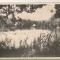 bnk cp Sovata - Lacul Ursu - necirculata