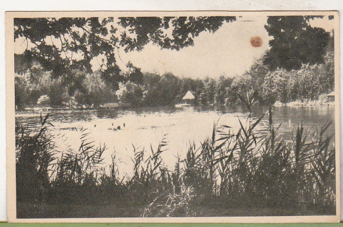 bnk cp Sovata - Lacul Ursu - necirculata