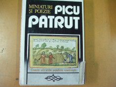 Picu Patrut miniaturi si poezie Bucuresti 1985 112 ilustratii foto