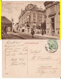 Lugos, Lugoj (Timis) - rara
