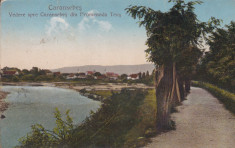 CARANSEBES , VEDERE SPRE CARANSEBES DIN PROMENADA TEUS , CIRCULATA 1926 foto