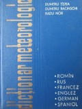 Dictionar meteorologic - Roamn Rus Francez Englez German Spaniol