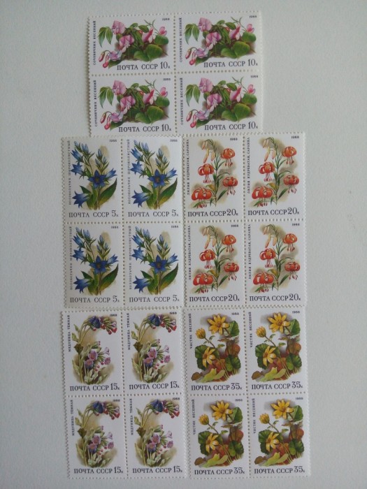 Rusia 1988 flora flori de camp 5 blocuri