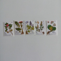 Rusia 1985 flora serie plante medicinale