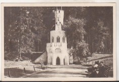 bnk cp Vatra Dornei - Izvorul 23 August - necirculata foto