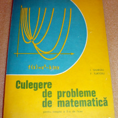 Culegere de probleme de Matematica - Giurgiu / Turtoiu