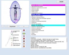 Bioplasm, soft romana, biorezonanta tip 17d nls, metatron! foto