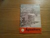 APICULTURA - Revista Nr. 1/ ianuarie 1973 - Asociatia Crescatorilor de Albine