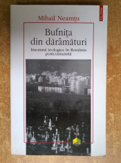 Mihail Neamtu - Bufnita din daramaturi foto