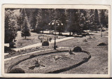 Bnk cp Slanic Moldova - In parcul de odihna - uzata 1953, Circulata, Printata