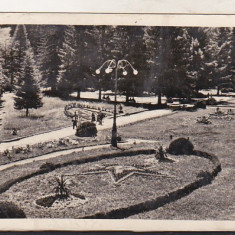 bnk cp Slanic Moldova - In parcul de odihna - uzata 1953