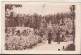 Bnk cp Govora - Parcul - circulata 1950, Baile Govora, Printata