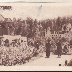 bnk cp Govora - Parcul - circulata 1950