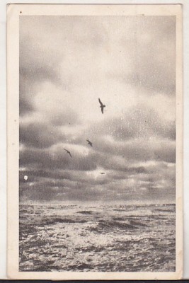 bnk cp Constanta - Peisaj marin - circulata 1955 foto