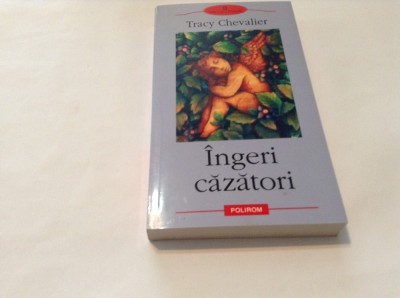 Tracy Chevalier - Ingeri cazatori ,RF12/2,RF10/1,R9 foto