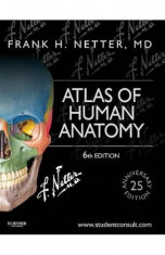 Atlas Netter ed.6 Atlas of Human Anatomy F.H.Netter 6th ed. - NOU foto
