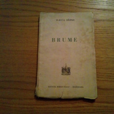 BRUME Poeme - Vlaicu Barna - W. Siegfried (Ilustratii) - Sighisoara, 1940, 96 p.