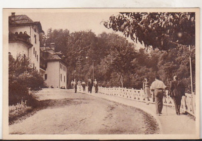 bnk cp Govora - Aleea spre izvoare - circulata 1953 foto