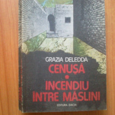 n4 Grazia Deledda - Cenusa / Incendiu intre maslini