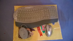 Kit Tastatura / Mouse Microsoft Wireless Laser Desktop 6000 v2 foto