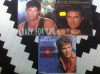 David Hasselhoff colectie 3 discuri singale single disc 7&quot; vinyl muzica pop rock, VINIL