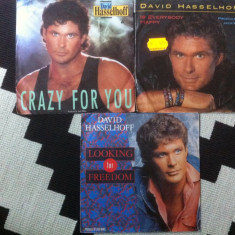 David Hasselhoff colectie 3 discuri singale single disc 7" vinyl muzica pop rock