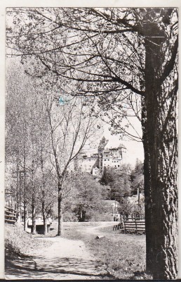 bnk cp Bran - Primavara - Vedere - uzata foto