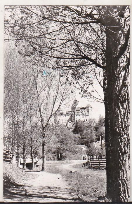 bnk cp Bran - Primavara - Vedere - uzata