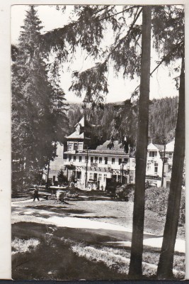 bnk cp Borsec - Vedere - circulata foto