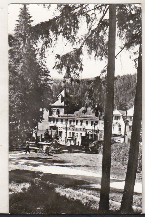 bnk cp Borsec - Vedere - circulata