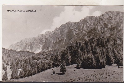 bnk cp Masivul Piatra Craiului - Vedere - circulata foto