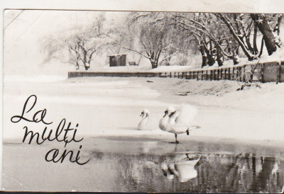 bnk cp Bucuresti - Iarna in parcul Herastrau - circulata foto