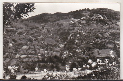 bnk cp Naruja - Jud Vrancea - peisaj - circulata foto