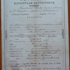 Extractus matriculae baptisatorum , Banat , Timisoara , 1862 , timbru sec