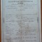 Extractus matriculae baptisatorum, Banat, Timisoara, 1862, timbru sec