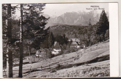 bnk cp Predeal - Vedere spre Bucegi - circulata foto